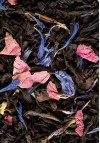 Thé Noir Coquelicot Gourmand