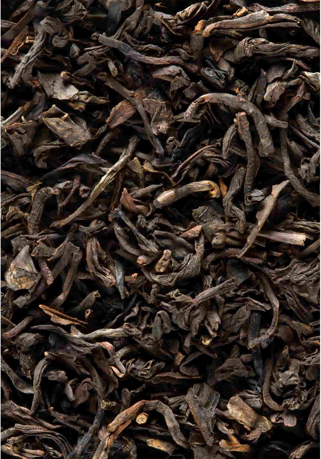 Thé Noir Paul et Virginie