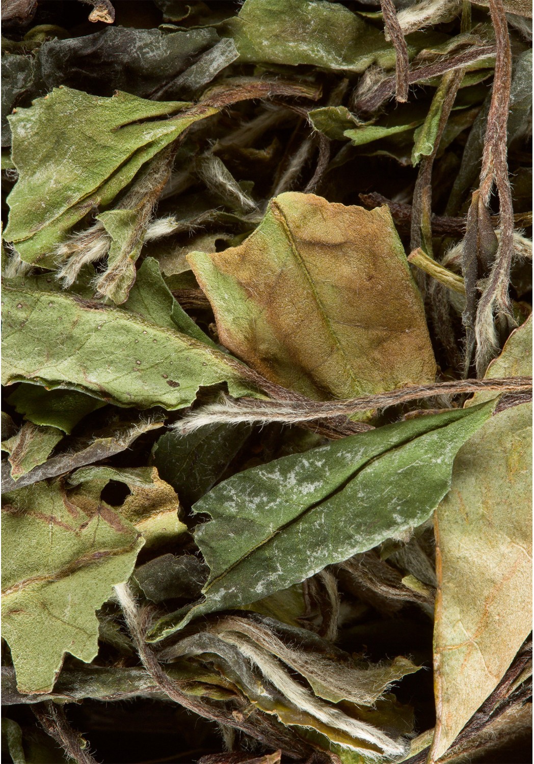 Thé Blanc Paï Mu Tan Premium