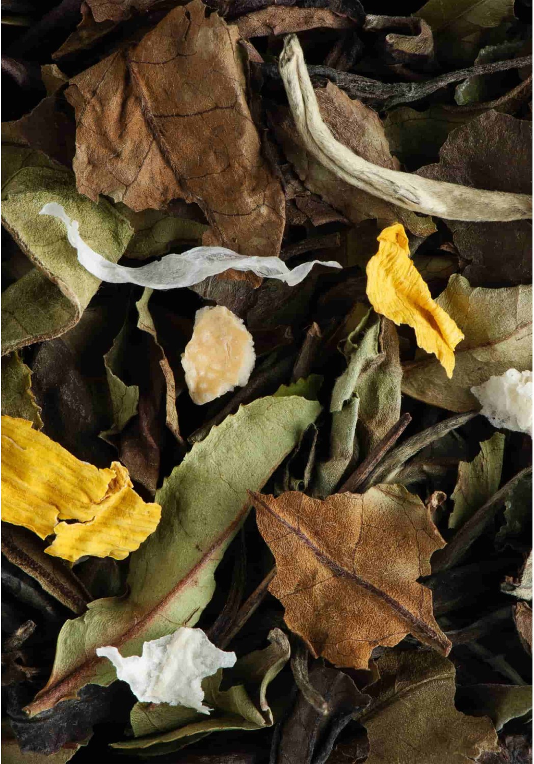 Thé Blanc Bella Blanca