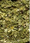 Maté Vert Maté Vert