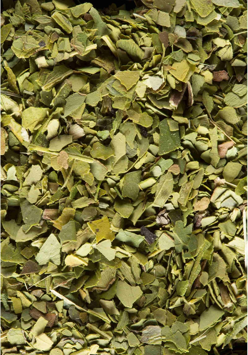 Maté Vert Maté Vert