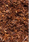 Rooibos Vanille
