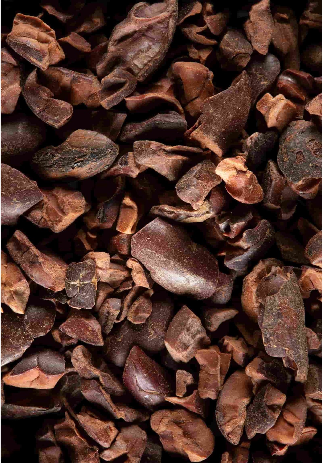Tisane Cacao
