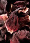 Tisane Fleur Hibiscus