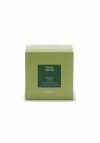 Tisane Verveine Tisane Verveine