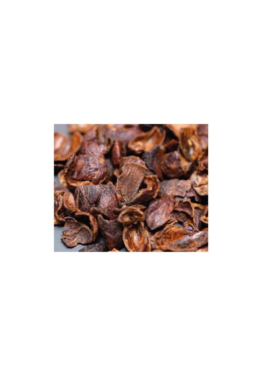 Cascara bio schreiber torréfacteur artisanal
