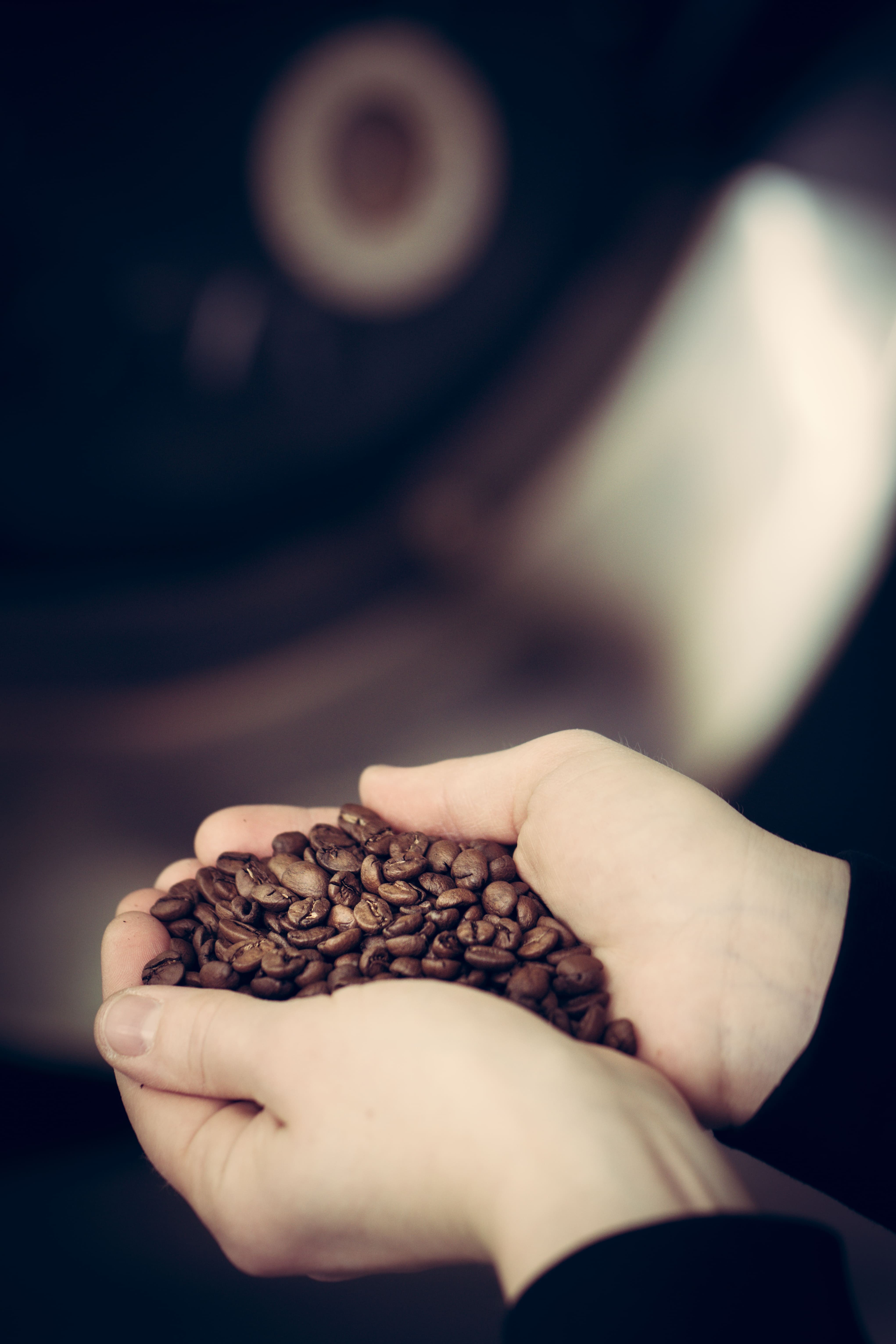 Notre échelle d'intensité : comment choisir le café qui vous ressemble ?