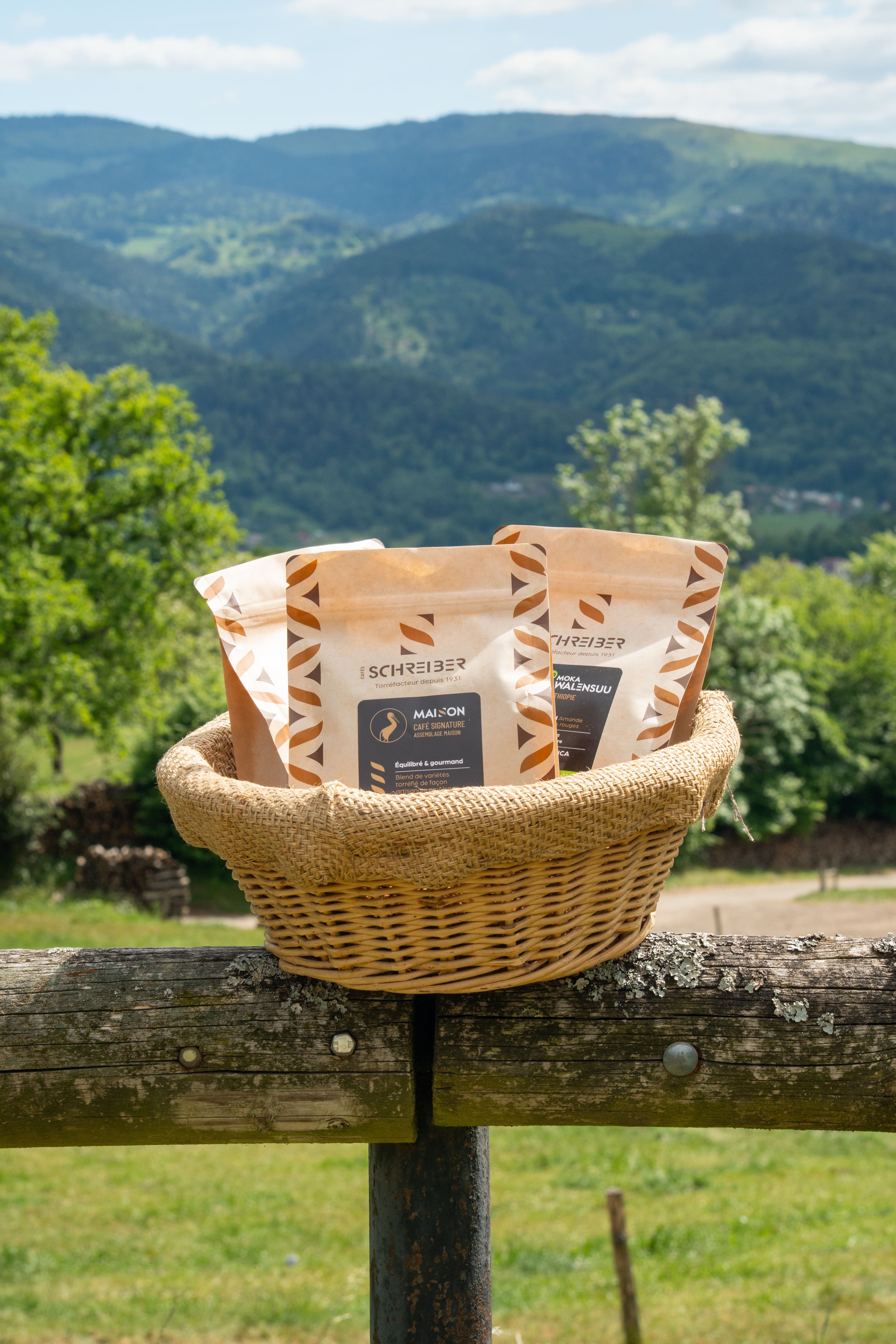 Quel café est fait pour vous ? Notre guide pour trouver celui qui vous ressemble !